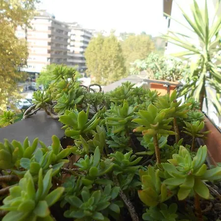 ベッド・アンド・ブレックファスト A Casa Chiecchi ローマ