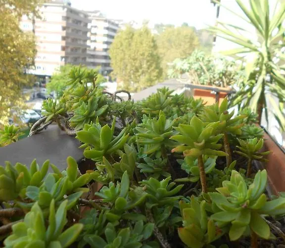 לינה וארוחת בוקר A Casa Chiecchi רומא