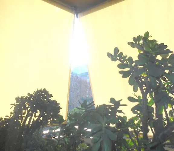 A Casa Chiecchi רומא